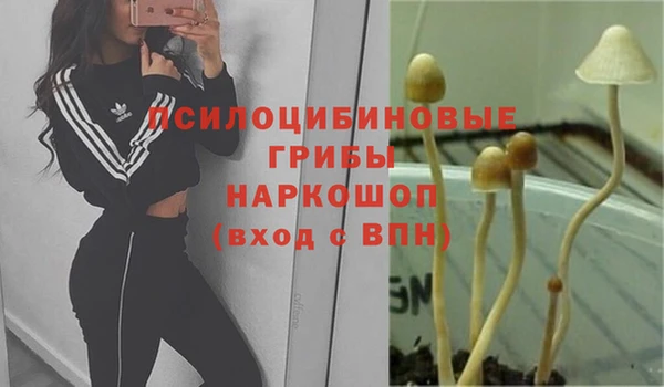 ешки Вяземский