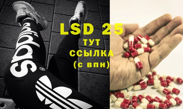 ешки Вяземский