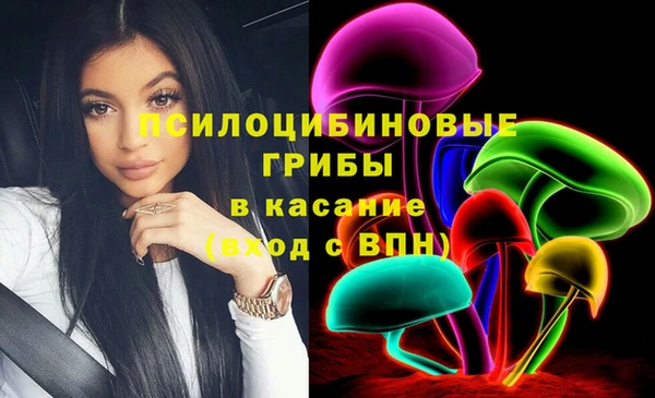 ешки Вяземский