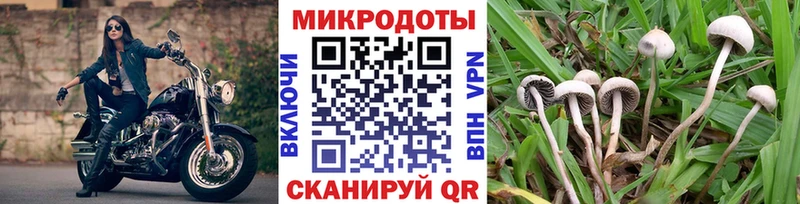 Псилоцибиновые грибы мухоморы  купить закладку  Верхняя Пышма 